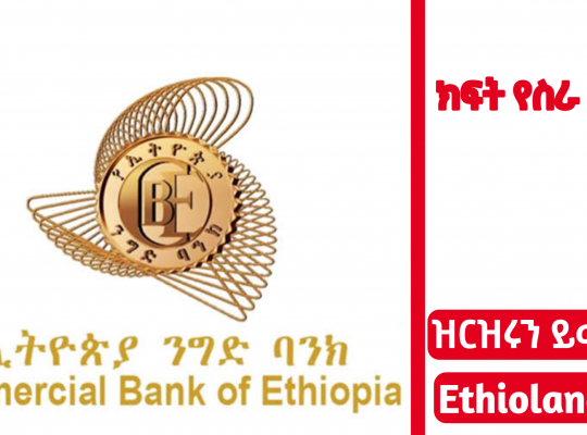 Commercial Bank of Ethiopia For Fresh Graduates job vacancy