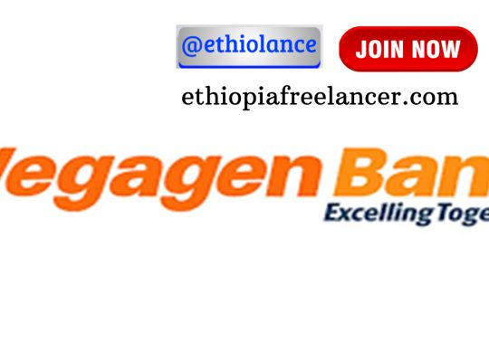 Wegagen Bank S.C Customer Service Officer