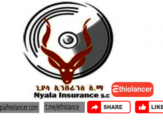 Nib Insurance Job Vacancy Fresh Graduates