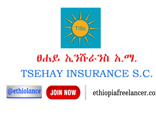 Tsehay Insurance S.C new job vacancy October 2022