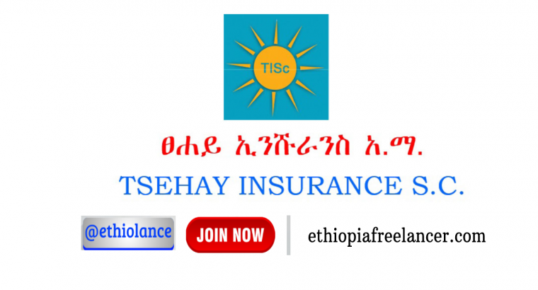 Tsehay Insurance S.C new job vacancy October 2022