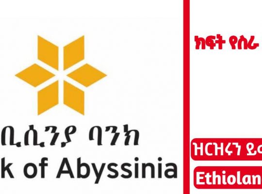 Abyssinia Bank new open job positions