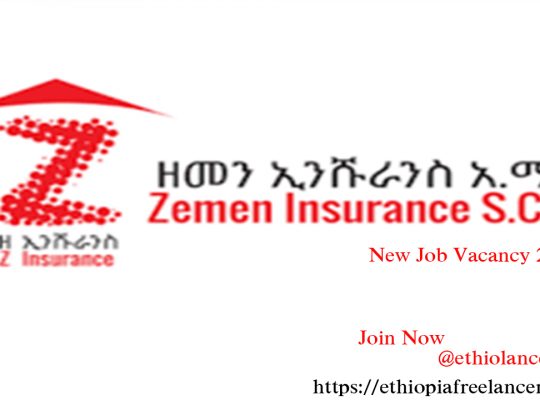 Zemen Insurance SC Job Vacancy