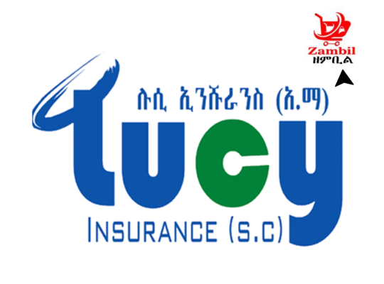 Senior ICT Officer at Lucy Insurance