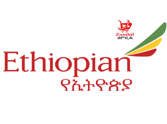 Ethiopian Airlines Group Vacancy